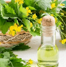 Ceandine in the fight against fungus
